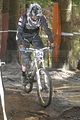 183__DSC0183 (2)